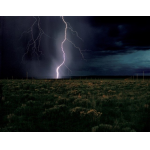 Lightning Field -John Mackey