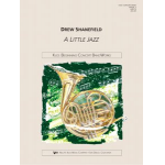 A Little Jazz -Drew Shanefield