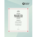 Adagietto aus der sinfonie cis-Moll -Gustav Mahler / Arr.Robert Wittinger