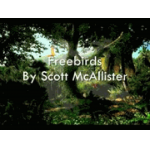 Freebirds - Wind Orchestra -Scott McAllister