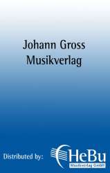 Mein schönes Innsbruck am grünen Inn (Gesang und Klavier) -Hugo Morawetz & Adolf Denk (Text)