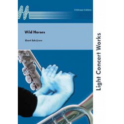 Wild Horses -Geert Schrijvers