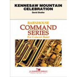 Kennesaw Mountain Celebration -David Shaffer