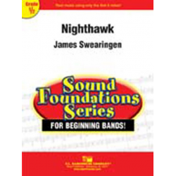 Nighthawk -James Swearingen
