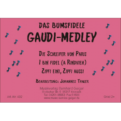 Das bumsfidele Gaudi-Medley -Johannes Thaler