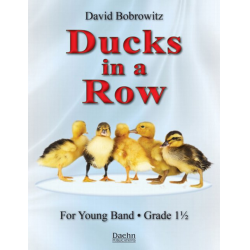 Ducks in a Row -David Bobrowitz