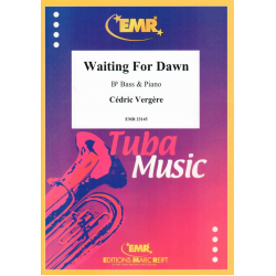 Waiting For Dawn -Cédric Vergère
