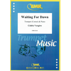 Waiting For Dawn -Cédric Vergère