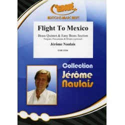 Flight To Mexico -Jérôme Naulais