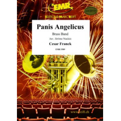 Panis Angelicus -César Franck / Arr.Jérôme / Moren Naulais