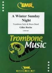 A Winter Sunday Night -Gilles Rocha