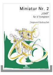 Miniatur Nr. 2 "cool" -Siegmund Andraschek