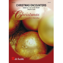 Christmas Encounters -Stephen Bulla