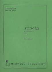 Allegro : für Viola (Violine) -Ludwig van Beethoven / Arr.Armin Schmidt