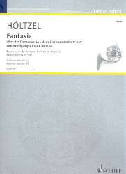 Fantasia über die Romanze aus dem Hornkonzert KV447 von W.A. Mozart : -Michael Höltzel