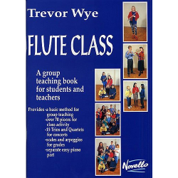 Flute Class : A Group Teaching -Trevor Wye