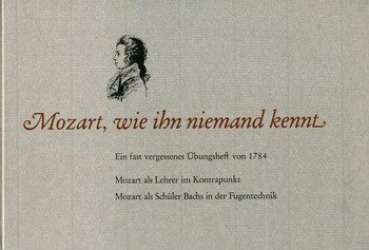 Mozart wie ihn niemand kennt :
