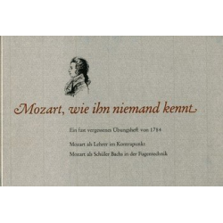 Mozart wie ihn niemand kennt :