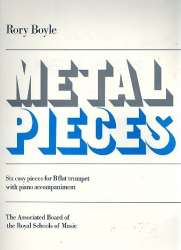 Metal Pieces -Rory Boyle