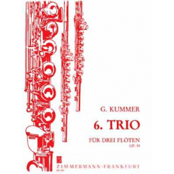 Trio Nr.6 op.59 : für -Caspar Kummer