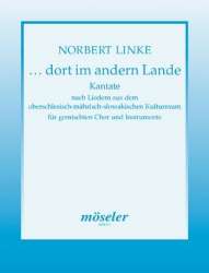 DORT IM ANDERN LANDE : KANTATE FUER -Norbert Linke