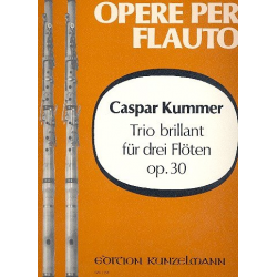 Trio brillant D-Dur op.30 : -Caspar Kummer