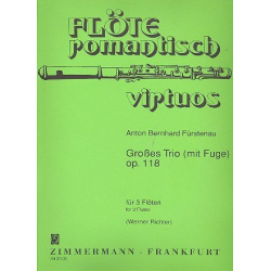 Grosses Trio mit Fuge op.118 : -Anton Bernhard Fürstenau / Arr.Werner Richter