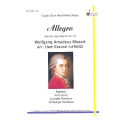 Allegro aus der Symphonie Nr. 25 -Wolfgang Amadeus Mozart / Arr.Uwe Krause-Lehnitz