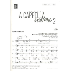 A cappella Grooving Band 2 : -Johannes Steiner