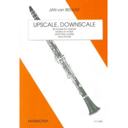 Upscale Downscale -Jan van Beekum