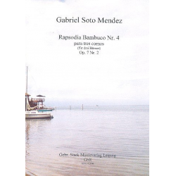 Rapsodia bambuco Nr.4 op.7,2 : -Gabriel Soto Mendez
