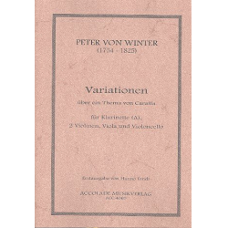 Thema und Variationen -Peter von Winter