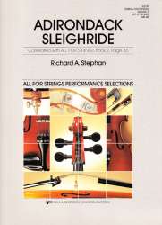 Adirondack Sleighride -Richard Stephan