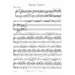 Spring Caprice -Jaroslav Cimera