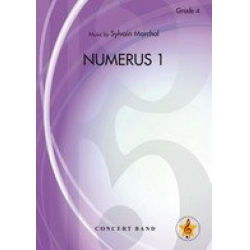 Numerus 1 -Sylvain Marchal