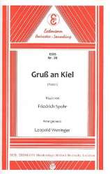 Gruß an Kiel : für Salonorchester -Friedrich Spohr