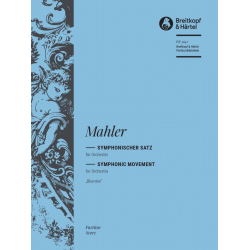 Sinfonischer Satz Blumine - -Gustav Mahler