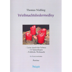 Weihnachtslieder-Medley : -Norbert Feibel