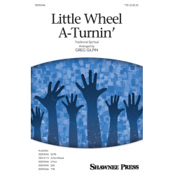 Little Wheel A-Turnin' -Greg Gilpin