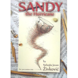 Sandy the Hurricane -Nebojsa Jovan Zivkovic