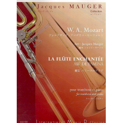 Air de Pamina de La flûte enchantée -Wolfgang Amadeus Mozart