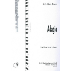 Adagio from sinfonia BWV156 -Johann Sebastian Bach