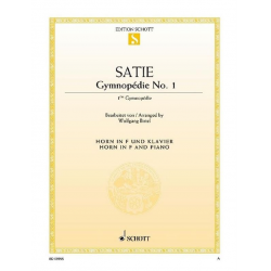 Gymnopédie Nr.1 -Erik Satie / Arr.Wolfgang Birtel