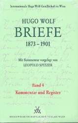 Briefe Band 4 (1873-1901) Kommentar und Register -Hugo Wolf