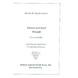 Pizzicato-Polka für -Johann Strauß / Strauss (Sohn)