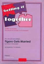 Figaro gets married -Wolfgang Amadeus Mozart