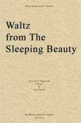 Waltz from Sleeping Beauty -Piotr Ilich Tchaikowsky (Pyotr Peter Ilyich Iljitsch Tschaikovsky)