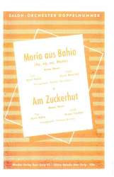 Am Zuckerhut : für Salonorchester -Ernst Fischer