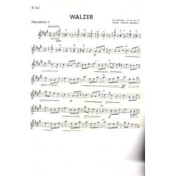 Walzer op.39,15 - Johannes Brahms