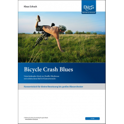 Bicycle Crash Blues -Klaus Schuck